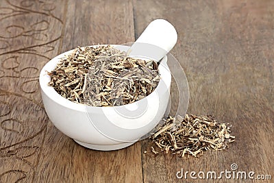 Nettle Herb Root in a Mortar with Pestle Stock Photo