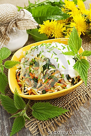 Nettle salad with cabbage Stock Photo