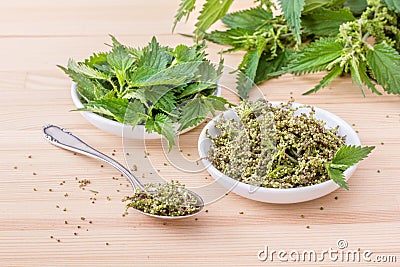 Nettle seeds Stock Photo