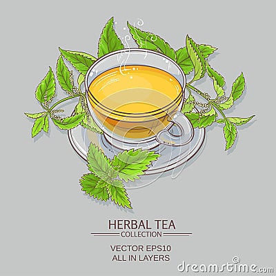 Nettle tea illustration Vector Illustration