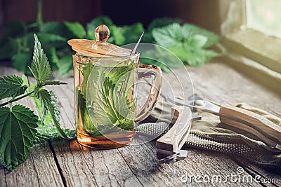 Nettle tea or infusion, nettle plants and garden pruner on wooden table. Stock Photo