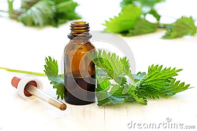 Nettle tincture in a small bottle and fresh leaves on white wood Stock Photo