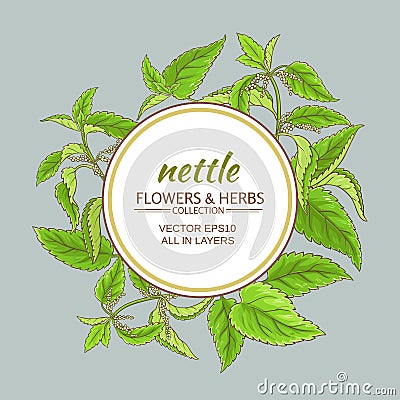 Nettle vector frame Vector Illustration