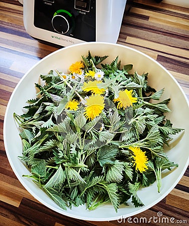 Nettles in a bowl. Healthy spring concept. Stock Photo