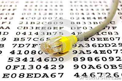 Network cable and encryption key Stock Photo