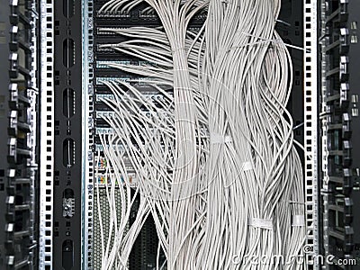 Network cables Stock Photo