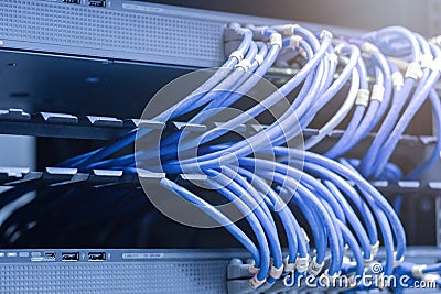 network cables connected in network switches Stock Photo