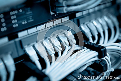 Network cables connected in network switches Stock Photo