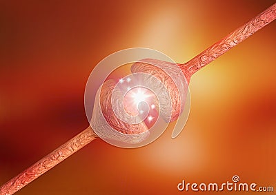 Neural synapses, failure in their functioning causes degenerative neurological diseases such as Alzheimer`s, Parkson`s and Stock Photo