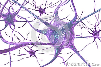 Neuron, brain cell Cartoon Illustration