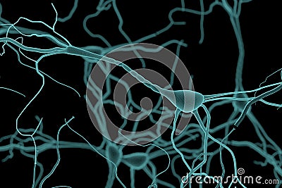 Neuron Cell, Neurons on white background, single neuron cell in human brain Stock Photo