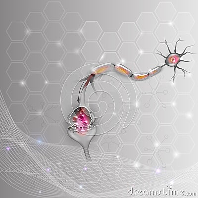 Neuron Vector Illustration