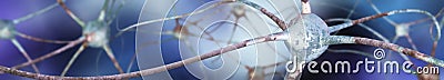 Neuron, neural network, nerve node, Stock Photo