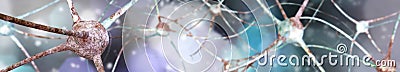 Neuron, neural network, nerve node, Stock Photo