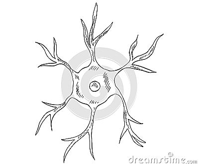 Neuron sketch star Vector Illustration