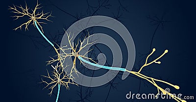 The neuron (nerve cell) is responsible for sending electrochemic Stock Photo