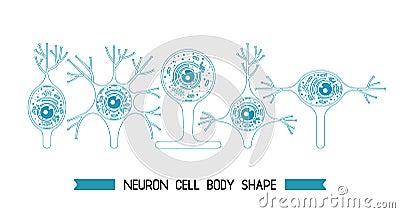 Neurone cell body Vector Illustration