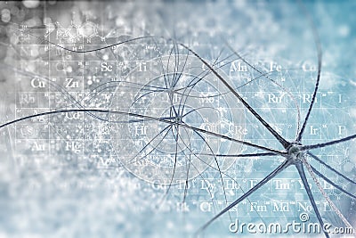 Neurons Stock Photo