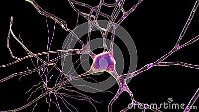 Neurons, brain cells, located in the temporal lobe of the human brain Cartoon Illustration