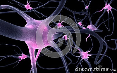 Neurons Stock Photo