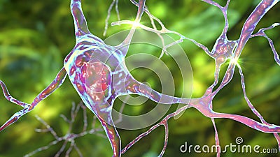 Neurons of Dorsal striatum, 3D illustration. Dorsal striatum is a nucleus in the basal ganglia Cartoon Illustration