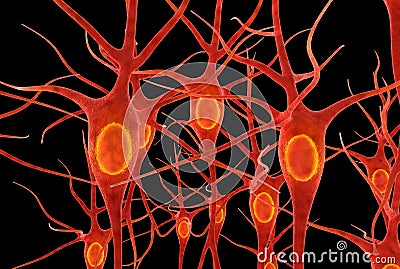 Neurons Stock Photo