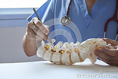 A neurosurgeon pointing at lumbar vertebra model in medical off Stock Photo