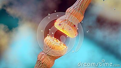 neurotransmitter release mechanisms. Neurotransmitters are packaged into synaptic vesicles transmit signals from a neuron Stock Photo