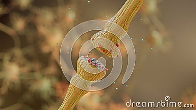 neurotransmitter release mechanisms. Neurotransmitters are packaged into synaptic vesicles transmit signals from a neuron Stock Photo