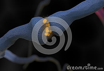 Neurotransmitter synapse and neuron cells sending electrical signals 3d illustration Stock Photo