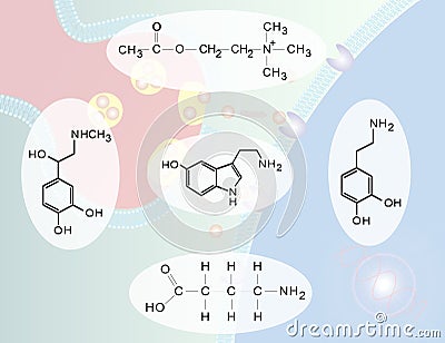 Neurotransmitters Stock Photo