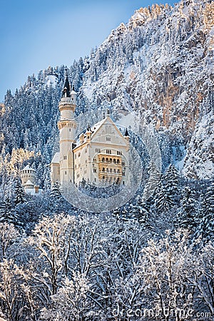 Neuschwanstein Castle in wintery landscape, Germany Stock Photo