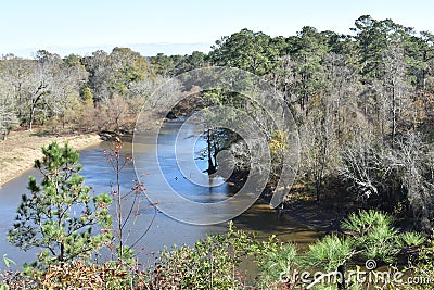 Neuse River Overlook at Cliffs of the Neuse State Park Stock Photo