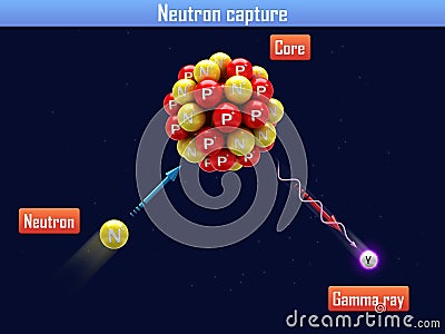 Neutron capture Stock Photo