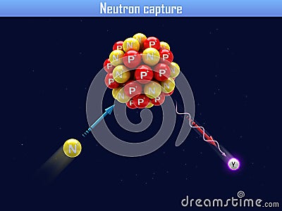 Neutron capture Stock Photo