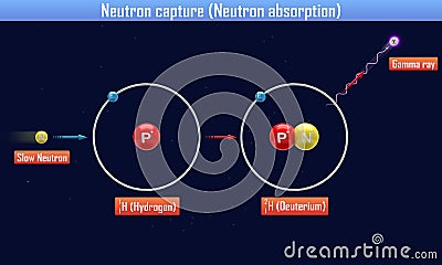 Neutron capture Neutron absorption Cartoon Illustration