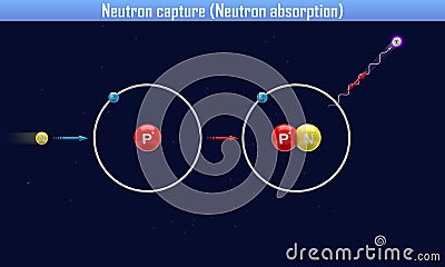 Neutron capture Neutron absorption Cartoon Illustration