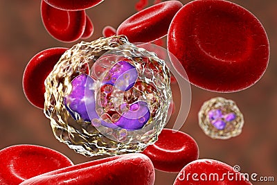 Neutrophil in blood, a white blood cell Cartoon Illustration