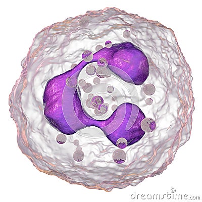 Neutrophil, a white blood cell Cartoon Illustration