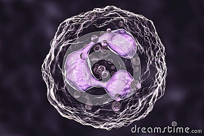 Neutrophil, a white blood cell Cartoon Illustration