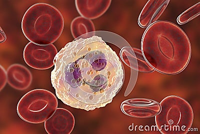 Neutrophil, a white blood cell Cartoon Illustration