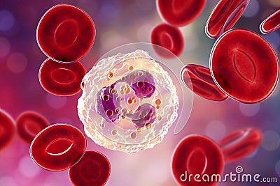 Neutrophil, a white blood cell Cartoon Illustration