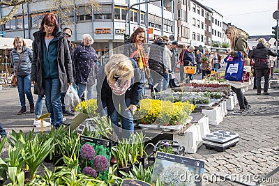 Many female customers are interested in flowers and other plants offered at a spring garden market Editorial Stock Photo