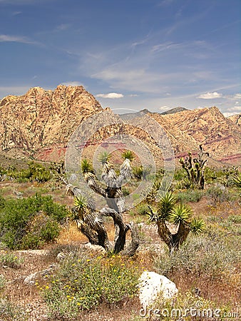 Nevada Panorama Stock Photo