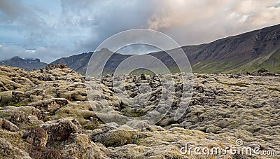 Never-ending Lava fields in Iceland with mountains Stock Photo