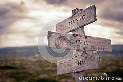 Never give up text on wooden signpost Stock Photo