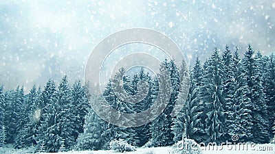 Nevicando sugli alberi Inverno in montagne Nevicando sugli alberi Inverno in montagne