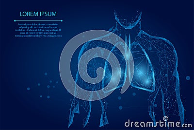 Man silhouette healthy lungs connected dots low poly wireframe Vector Illustration