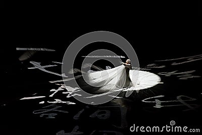 Freehand brushwork 2-Chinese Calligraphy-Act 3: Deep in love Editorial Stock Photo