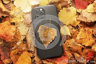 the new apple iphone 14, 13 promax on an autumn background of silt leaves in the forest. autumn sale of mobile phones Editorial Stock Photo